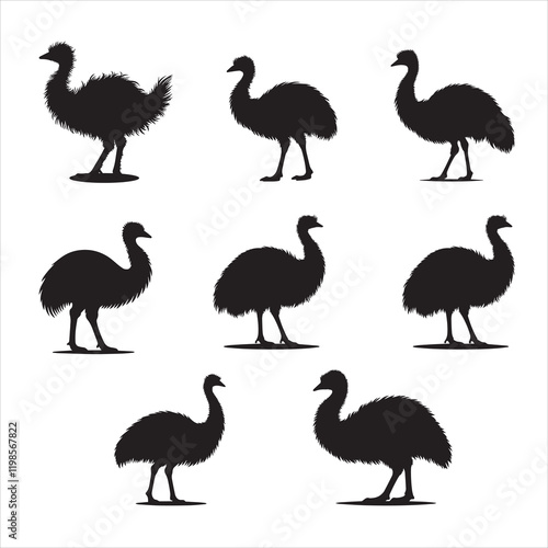Set of Emu Flightless bird silhouette Vector illustration, Emu bird Clipart Design
