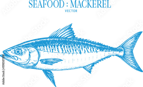 Vintage style detailed seafood illustration, hand-drawn etching style, antique engraving style.