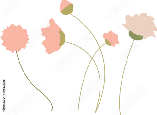 꽃잔디 안개꽃 꽃모양 baby's breath  gypsophila flower  bloom  blossom Moss Phlox stamen and pistil Vector illustration.