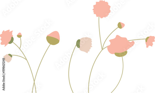 꽃잔디 안개꽃 꽃모양 baby's breath  gypsophila flower  bloom  blossom Moss Phlox stamen and pistil Vector illustration.