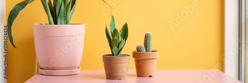 A cactus plant in a pink pot on a table in a yellow modern interior space, adding style with a hipster clay pot, interior, plant photo