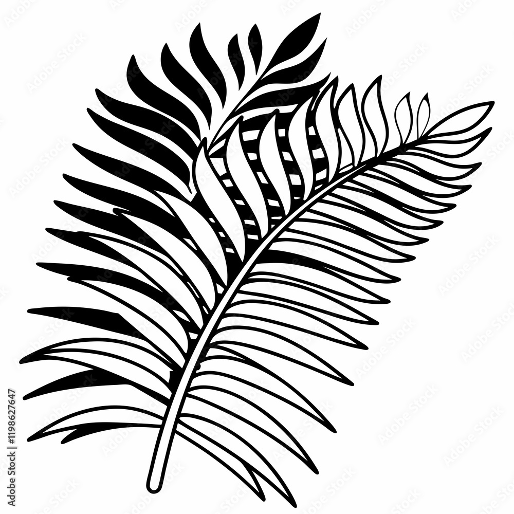 Obraz premium palm leaf illustration