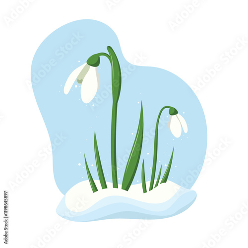 Spring flowers or snowdrop buds on blue background. Wild spring blooming flowers. Flat vector illustration