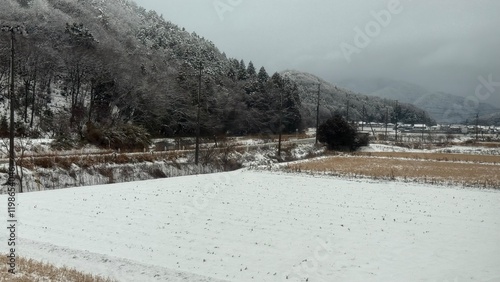 雪に覆われた道が山に沿って伸び、霧がかった木々と田畑が穏やかな冬の雰囲気を引き立てています。 photo