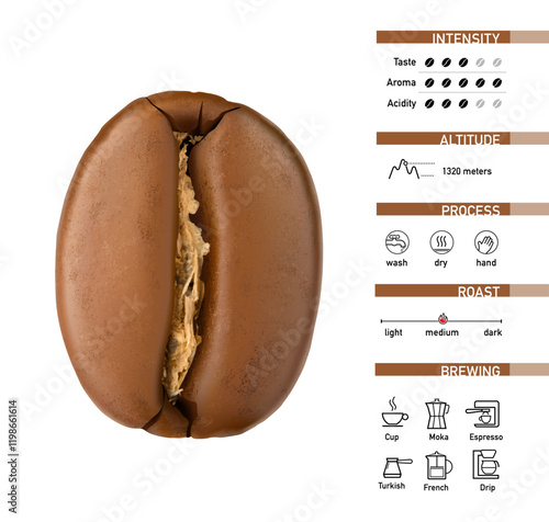 Roasted coffee bean mockup isolated on white background with set icons for infographic. Realistic vector illustration. Ready for your design. EPS10.
