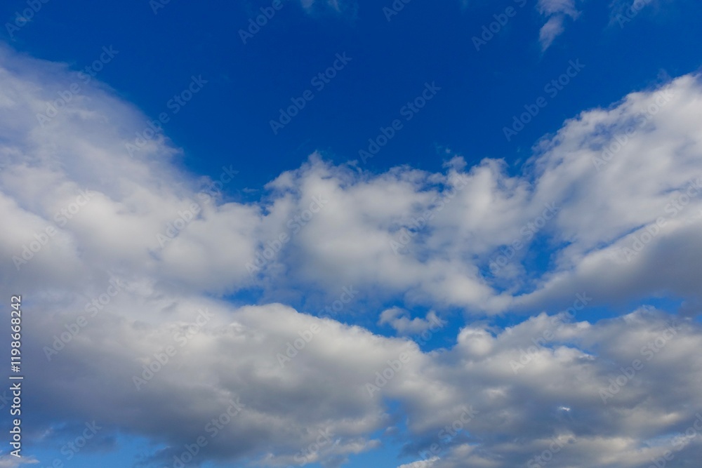 Obraz premium 青空と白い雲