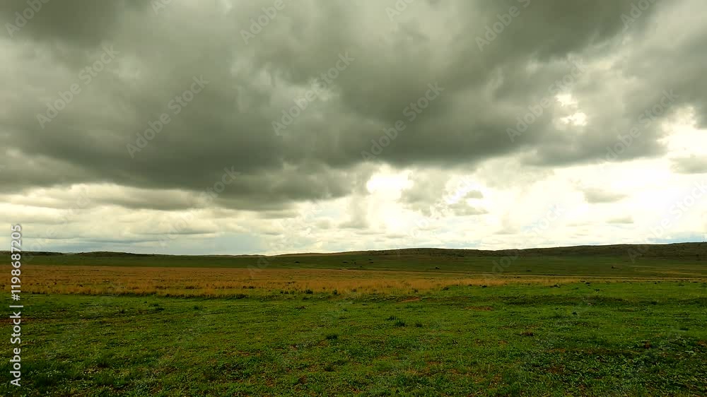 Rainfront move over savannah landscape with rain hatching flying ants, timelapse Rainfront move over savannah landscape with rain hatching flying ants, timelapse