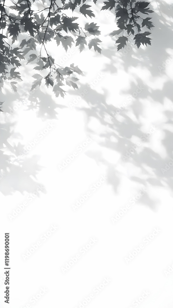 Abstract Background with Tree Branches and Leaf Shadows on a White Wall Gently and Serenely Abstract Background with Tree Branches and Leaf Shadows on a White Wall Gently and Serenely