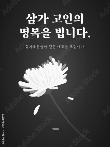 rest in peace R.I.P white chrysanthemum black and white