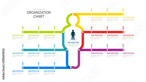 organization chart Infographic man line template for with business avatar icons. vector illustration.