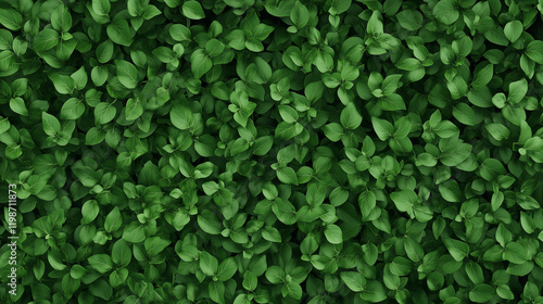 Emerald Green Leaves Textur...