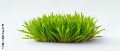 vibrant green grass tuft isolated on white background