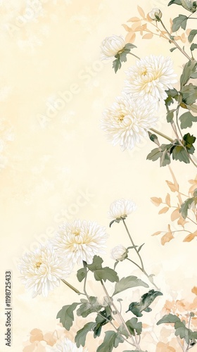 White chrysanthemum flowers, elegant floral design, pastel background, serene nature, ideal for cards