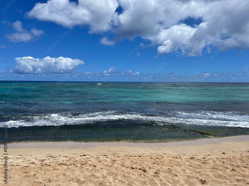 Obraz premium Hawaii Beach