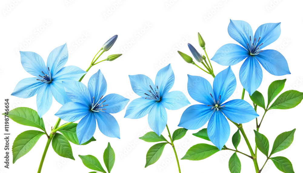 Obraz premium Delicate Blue Forget-Me-Not Flowers