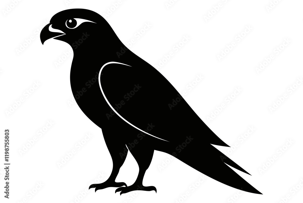 Fototapeta premium Peregrine Falcon bird silhouette black vector art illustration.
