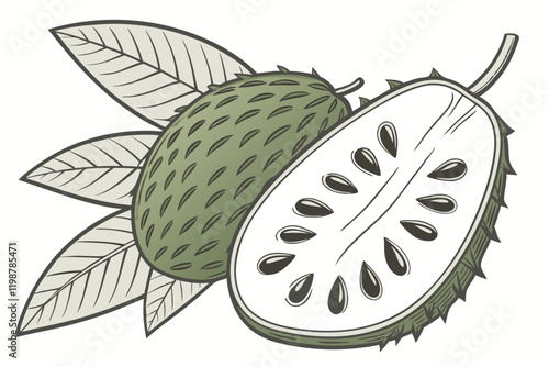 Tropical fruit illustration, exotic green soursop or custard apple, botanical drawing, cross-section view, whole fruit, leaves, detailed texture, vibrant green color, white flesh, black seeds, hand-dr
