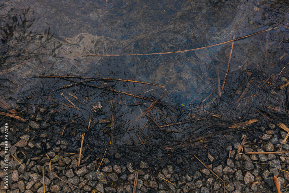Fototapeta premium Gasoline or oil stain spill water pollution. Industrial oil fuel stain spill water pollution. Ecological disaster. Oil film pollution. Water pollution with oil, gasoline
