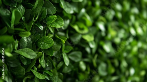 Wallpaper Mural Vibrant Green Hedge Featuring Dense Cluster of Fresh Leaves for Natural Backgrounds and Designs : Generative AI Torontodigital.ca