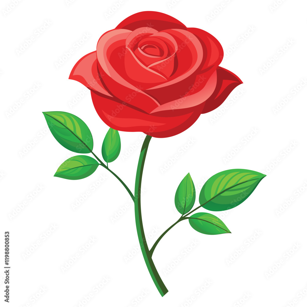 Single Red Rose with leaves cartoon vector illustration Isolated Single Red Rose with leaves cartoon vector illustration Isolated