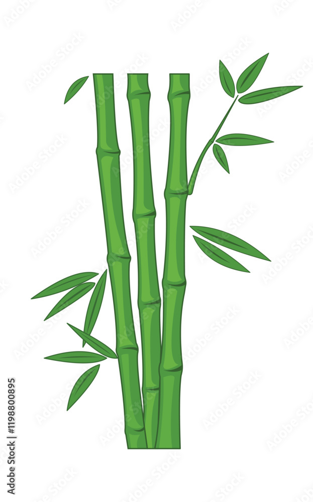 Fototapeta premium Bamboo plant vector for your design needs
