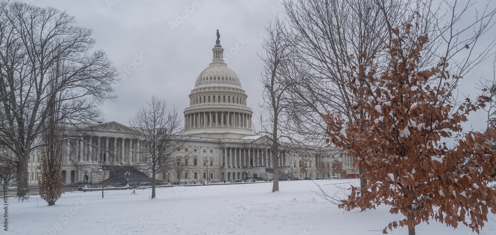 Fototapeta premium US Washington D. C. in winter snow. Capitol Building in night. Washington city Capitol. United States Capital. USA landmark. Supreme Court. Washington D.C. Night Washington Capital city.