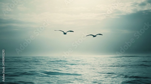 Two Seagulls Flying Over a Calm Ocean Under a Cloudy Sky