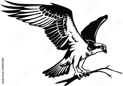 Illustration of a Powerful Hawk Osprey  Silhouette - A Stunning Illustration of an Osprey with Its Wings Fully Spread Perched Elegantly on a Branch