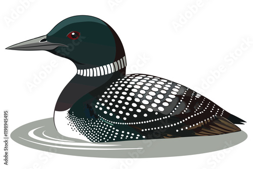 Common loon bird vector artwork illustration