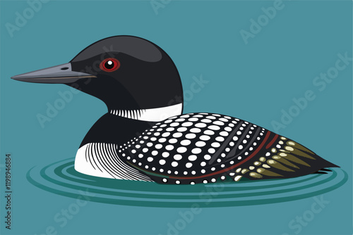 Common loon bird vector artwork illustration