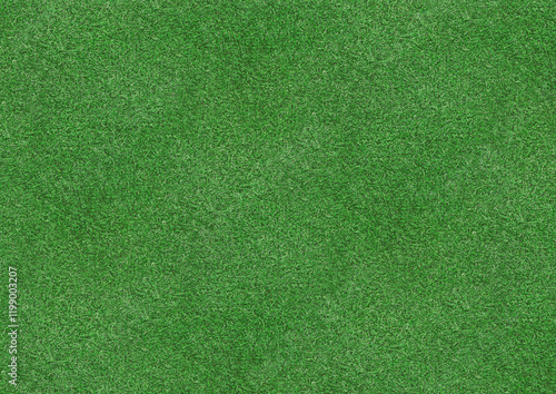grass texture background
