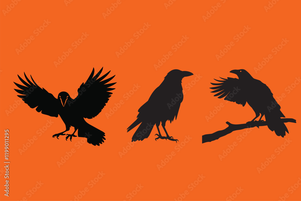 Fototapeta premium crow vector silhouette set 