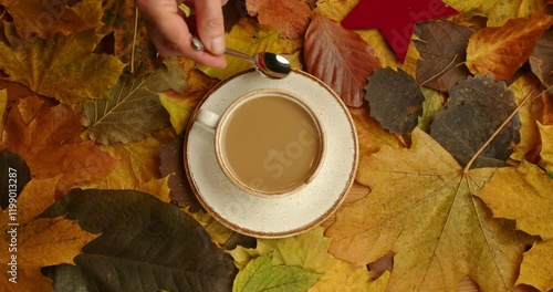 A 4K still-life shot of a woman's hand stirring coffee in a cup placed on a table covered with autumn leaves. A professional and artistic composition symbolizing warmth, coffee culture