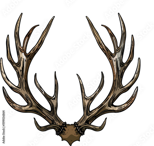 Geweih, Hirsch, Reh, Outdoor - Vektor
