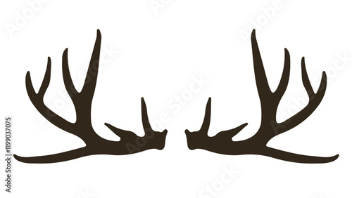 Geweih, Hirsch, Reh, Outdoor - Vektor