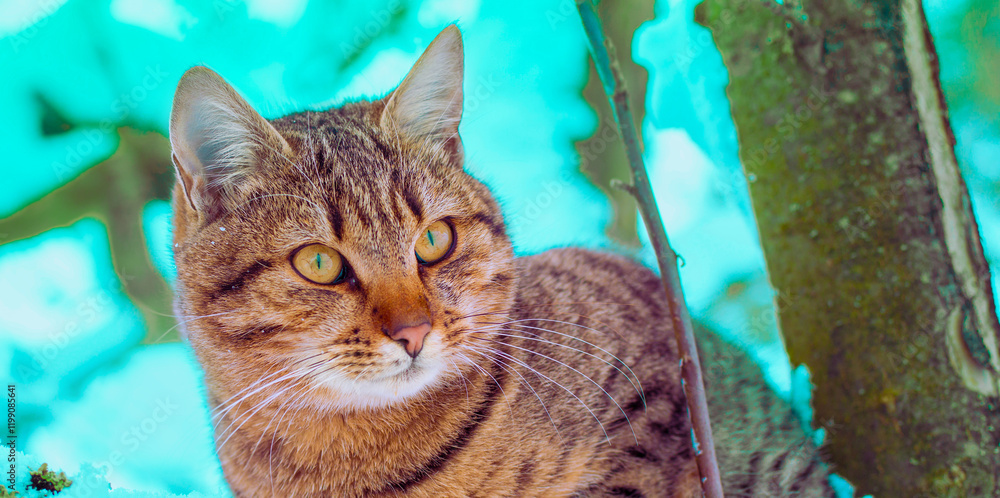 Cat siting on the snowy tree in the forest