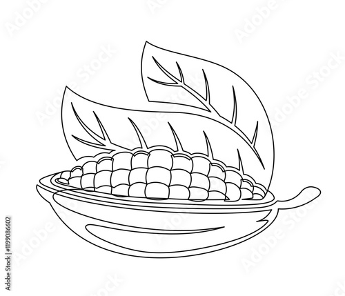 Cacao beans branch with leaves line