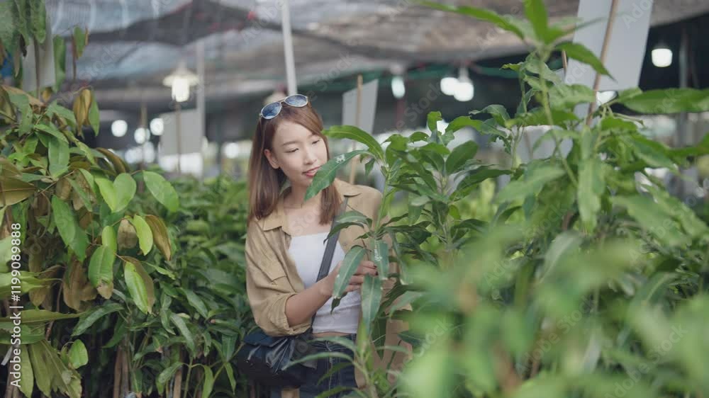 A woman is looking at plants in a greenhouse. She is wearing sunglasses and a brown shirt. The plants are green and healthy A woman is looking at plants in a greenhouse. She is wearing sunglasses and a brown shirt. The plants are green and healthy