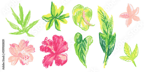 Clip art of bright tropical flowers and plants drawn with wax crayons on white isolated background. Children's botany collection of oil pastel illustrations. 