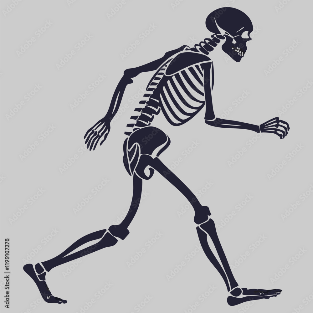 Fototapeta premium human skeleton silhouette vector design art and illustration