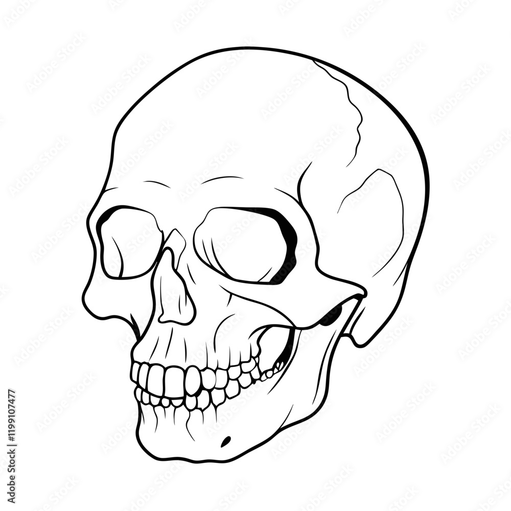 Obraz premium Skull