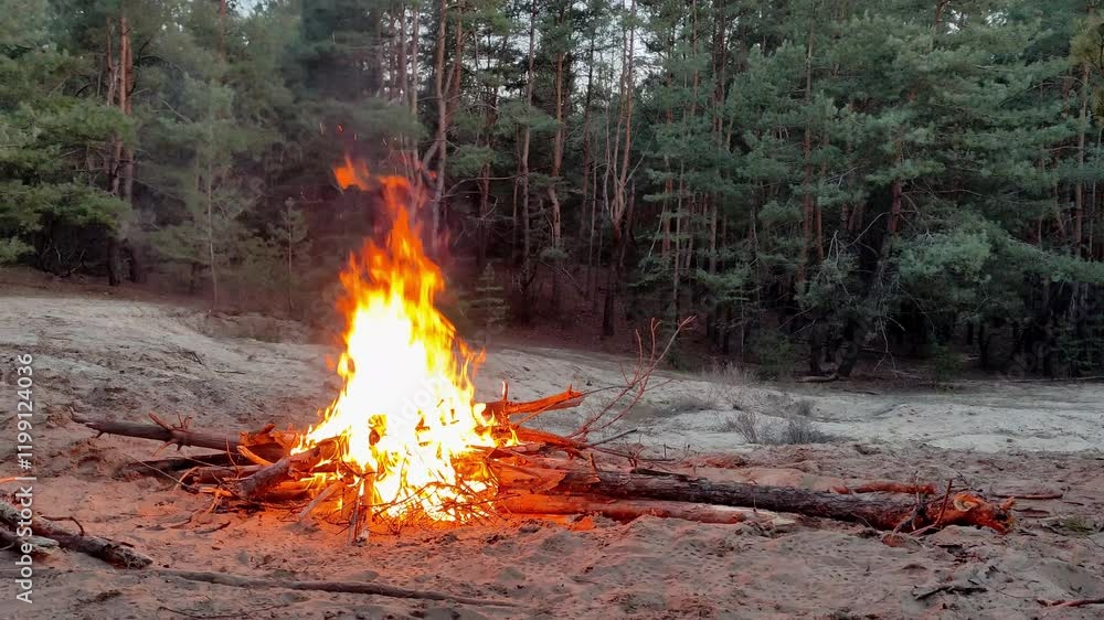Wide-angle view of a bonfire in a forest clearing, bright flames rising in a serene woodland setting