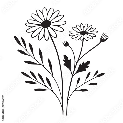 Stunning Daisy Flower Clipart for Design Purposes