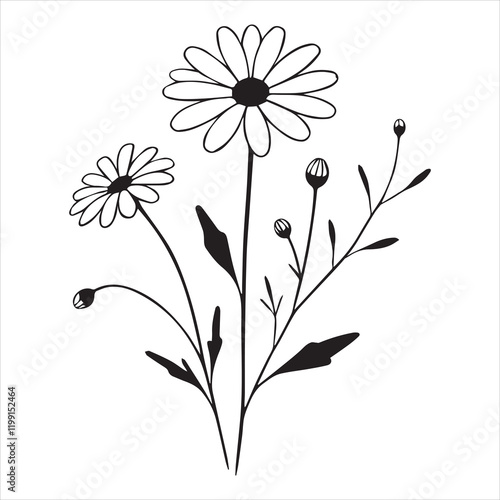Stunning Daisy Flower Clipart for Design Purposes