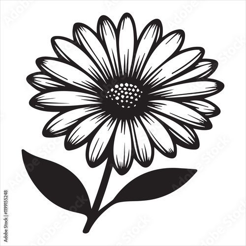 Detailed Daisy Flower Vector Artwork for Creatives

