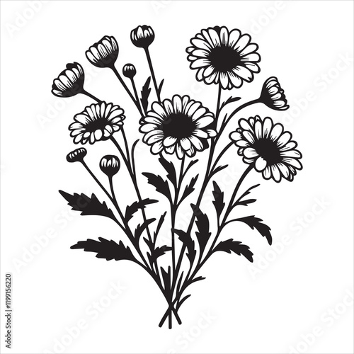 Beautiful Daisy Flower Clipart for Graphic Projects
