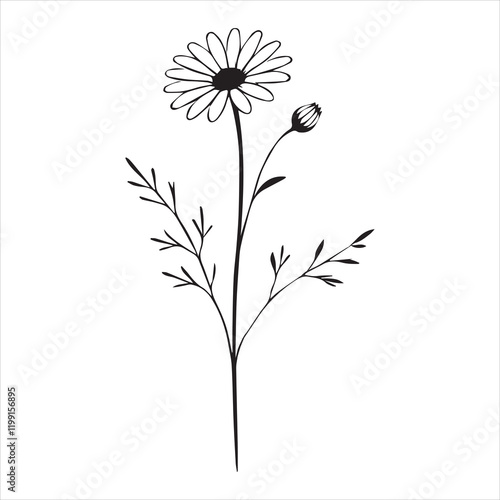 Elegant Daisy Flower Vector Illustration for Design
