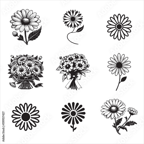 Collection of Common Daisy Plant Vector Illustration Design
