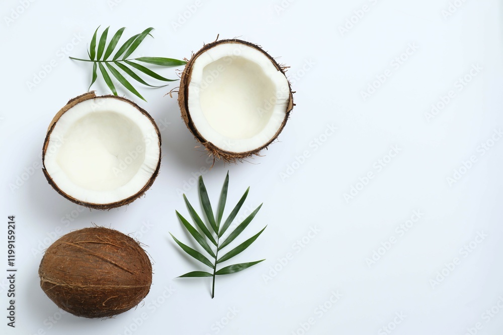 Coconut on white background, top view Coconut on white background, top view