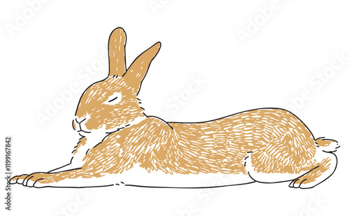 眠っているうさぎの手描きイラスト